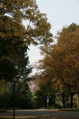 Watertoren